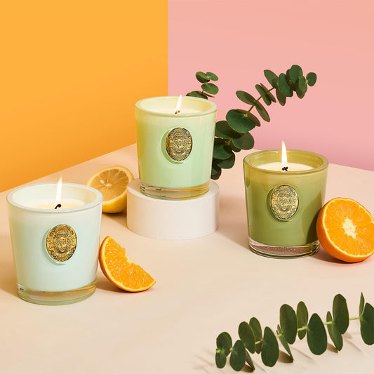 Natural Soy Candle (Basil Wild Mint)