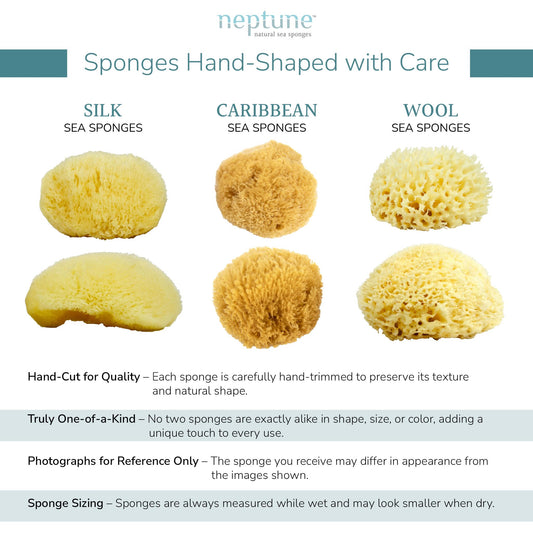 Sea Wool Sponge
